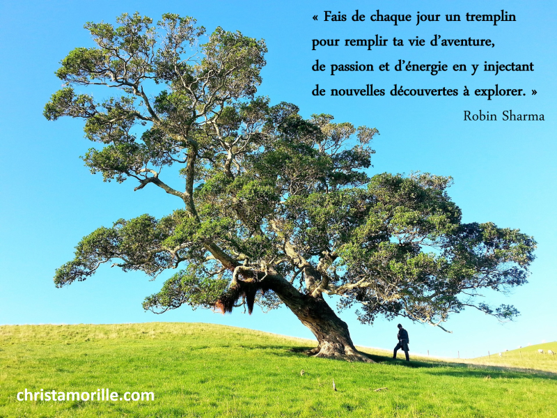 2016-04-27 Fais de chaque jour un tremplin
