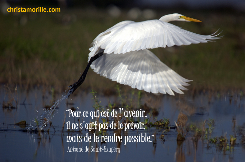 2016-05-28 Avenir .... le rendre possible
