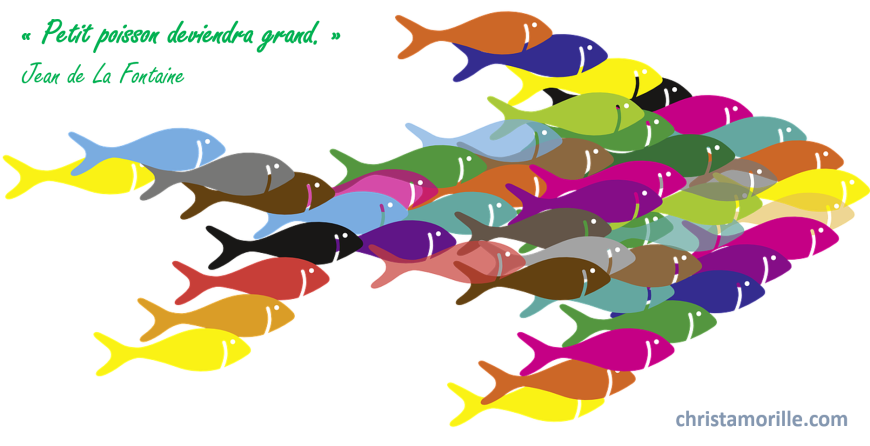2016-06-07  Petit poisson deviendra grand