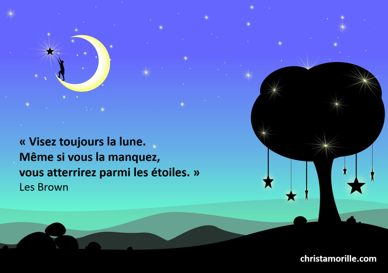 2016-06-26  Visez toujours la lune. Même si vous la manquez, vous atterrirez parmi les étoiles