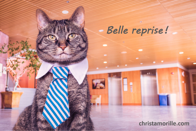 2016-08-21 Belle reprise !