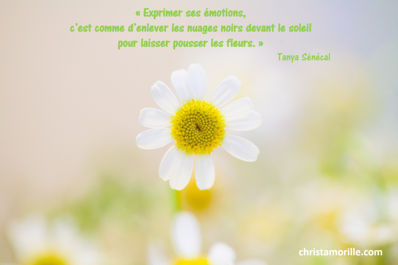 2016-09-12-exprimer-ses-emotions-cest-comme-denlever-les-nuages-noirs-devant-le-soleil-pour-laisser-pousser-les-fleurs
