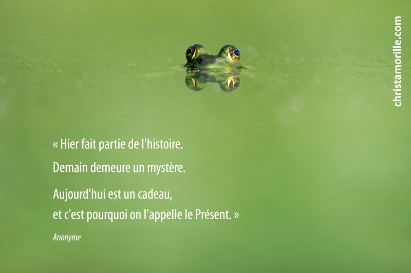 2016-09-21-hier-fait-partie-de-lhistoire-demain-demeure-un-mystere-aujourdhui-est-un-cadeau-cest-pour-ca-quon-dit-que-cest-le-present