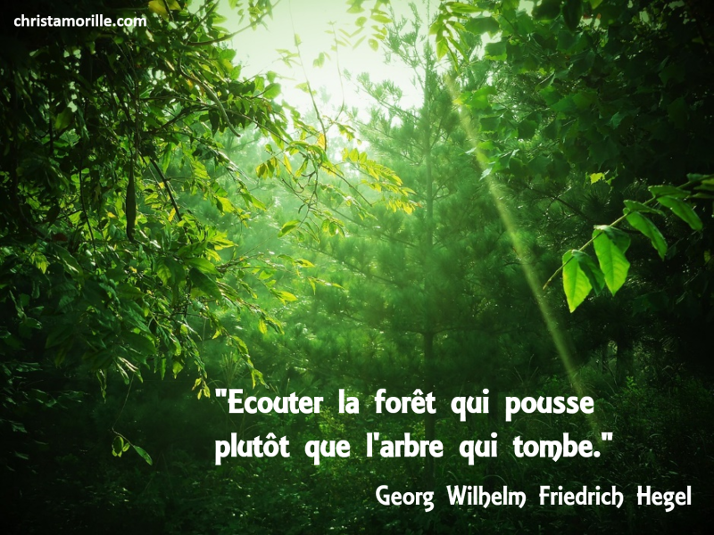 2016-11-30-ecouter-la-foret-qui-pousse-plutot-que-larbre-qui-tombe