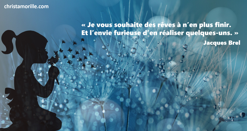 2017-01-01-je-vous-souhaite-des-reves-a-nen-plus-finir-et-lenvie-furieuse-den-realiser-quelques-uns