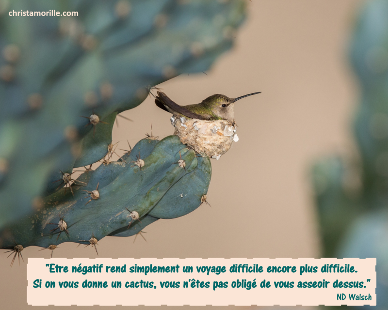 2017-03-29 Etre négatif rend simplement un voyage difficile encore plus difficile. Si on vous donne un cactus, vous n'êtes pas obligé de vous asseoir dessus.