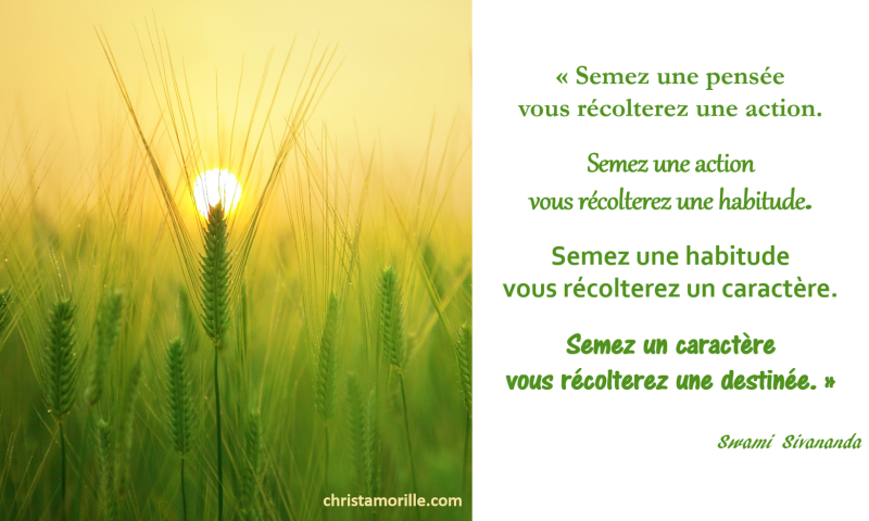 2017-10-09c Semez une pensée vous récolterez une action. Semez une action vous récolterez une habitude